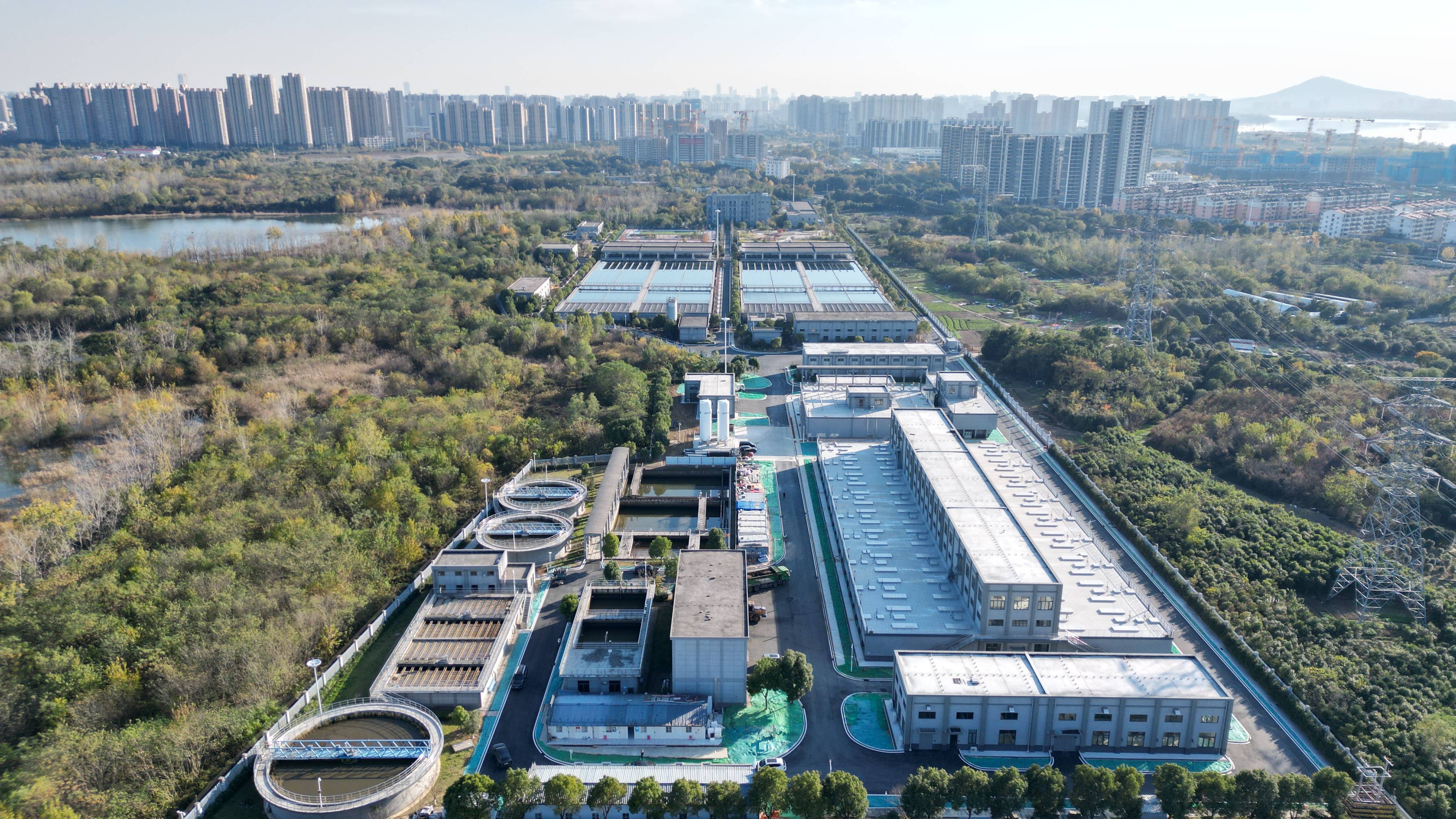 大理市合肥专业企业价值增长(合肥市重点企业产业目录)