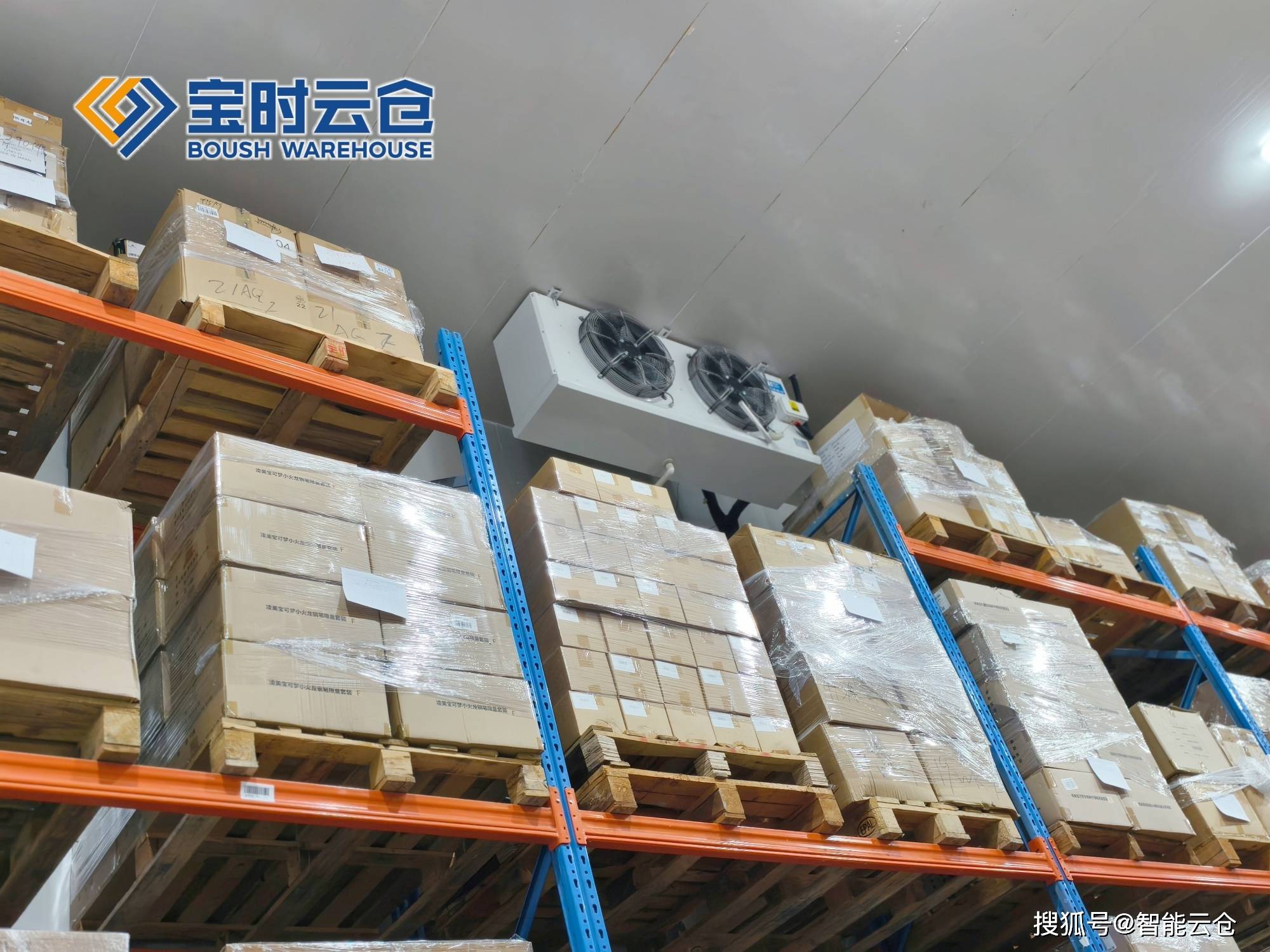 大理市领先物流品牌升级(领先物流服务商是自营物流)