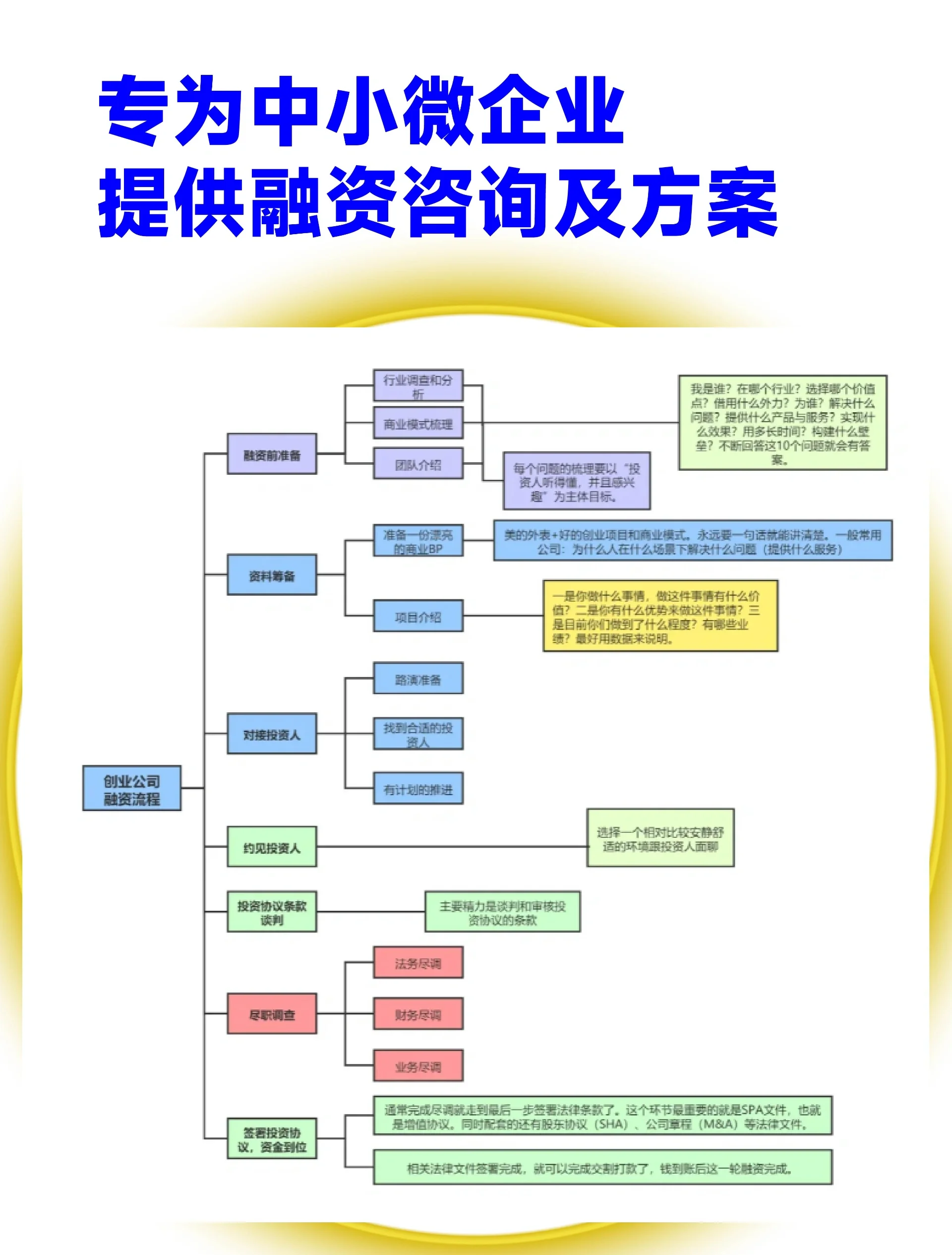 大理市宠物企业资金管理(宠物管理机构叫什么)