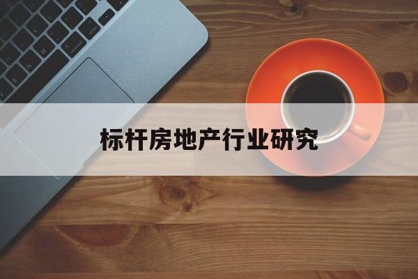 大理市标杆房地产行业研究(房地产领域的标杆人物)