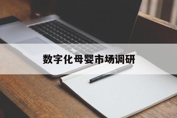 大理市数字化母婴市场调研(数字化母婴市场调研报告)