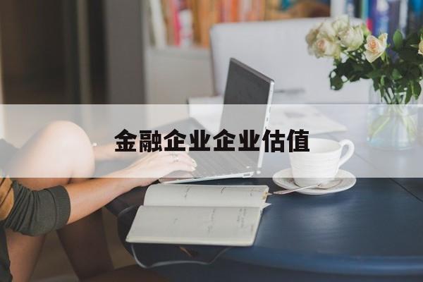 大理市金融企业企业估值(最新企业估值怎么填)